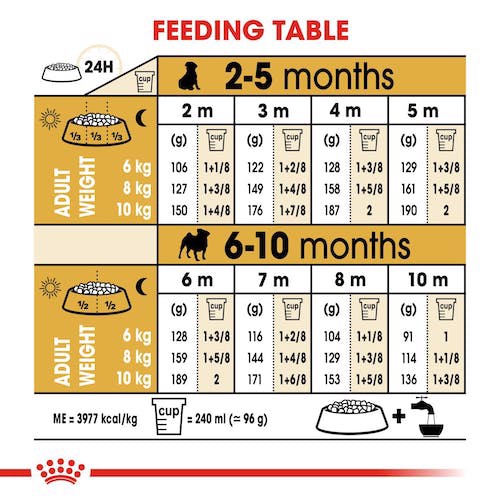 Tham khảo hàm lượng thức ăn của Nhãn hàng Royal canin chuyên dùng cho chó Pug